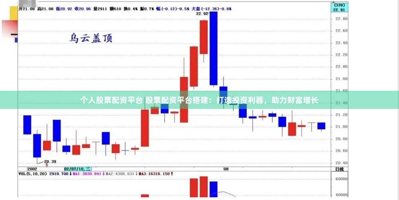 个人股票配资平台 股票配资平台搭建：打造投资利器，助力财富增长